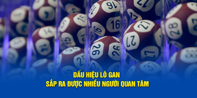 Dấu hiệu lô gan sắp ra được nhiều người quan tâm